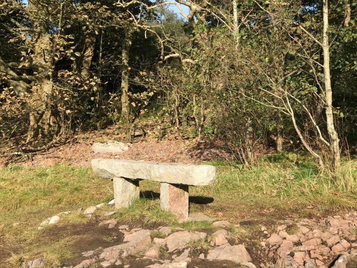 Kipplochan Dalbeattie Dış mekan fotoğraf